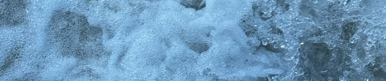 Corey Slabs
