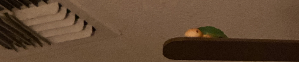 mat
