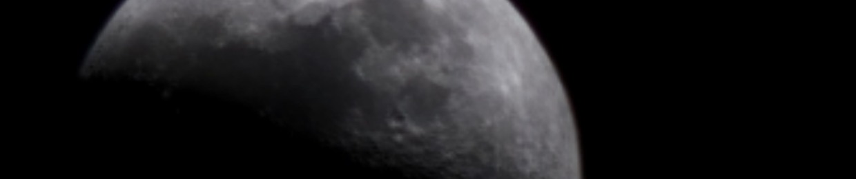 Mehrdad Golmohammadi