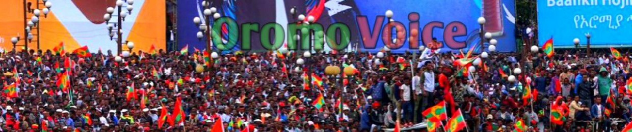 Oromo Voice