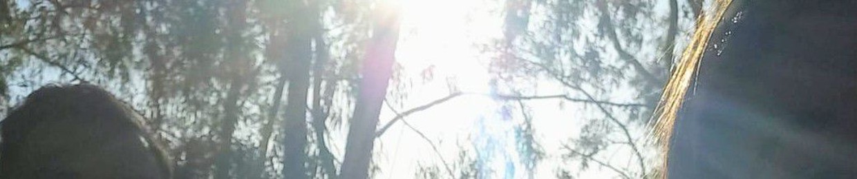 ₲ØɌƉØ ƉɆ ₦₳₣₮₳