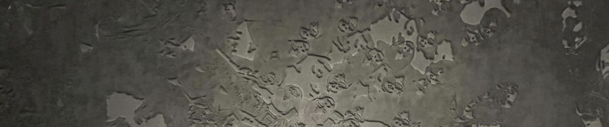rimsed03