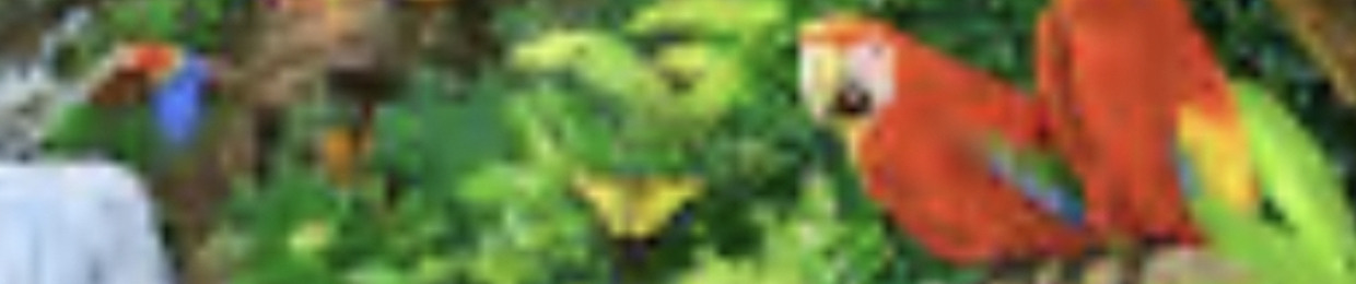 CcaptainBugg AKA Bugmaster2005
