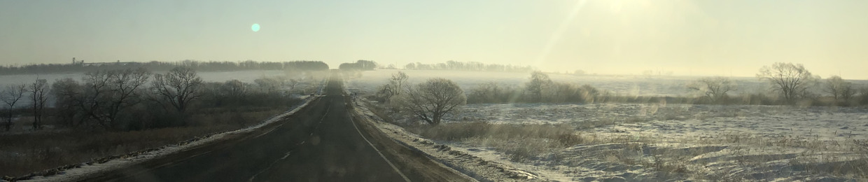 ptichia_lichnost