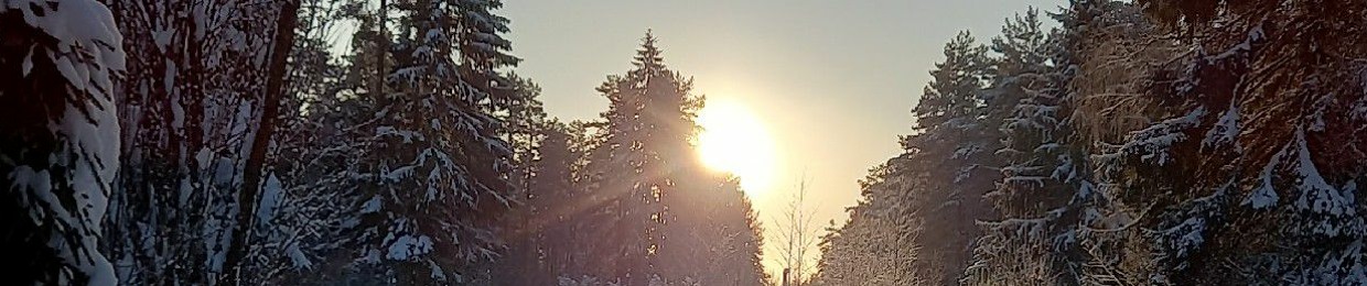 Ольга Никонова