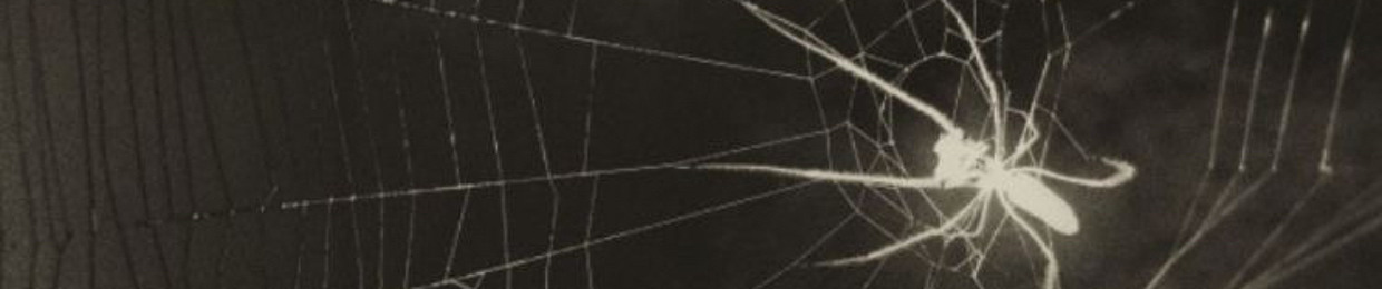 DJ GASS A.K.A SPIDER