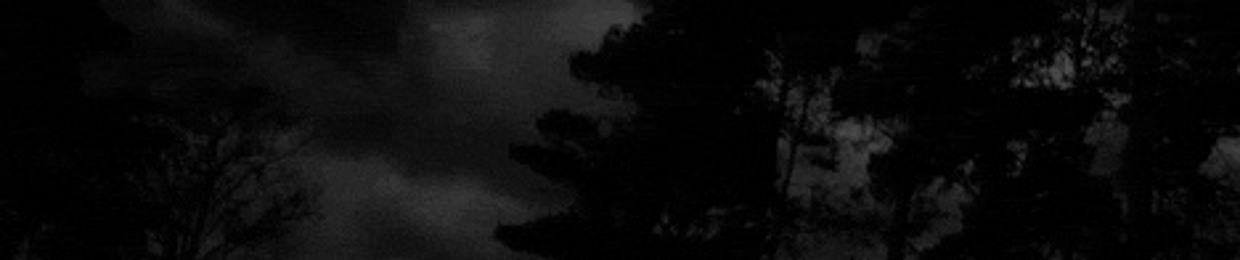 ﹙🕸️﹚ Trashed Homo ⠀︵⠀⠀⊹⠀