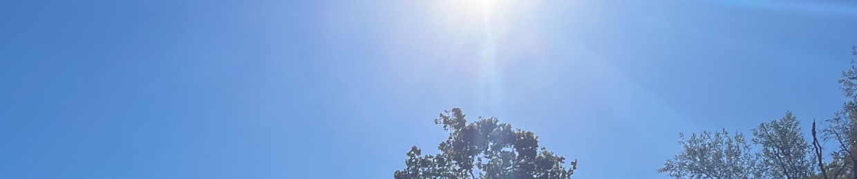 𝖘𝖈𝖔𝖔𝖙𝖊𝖗!