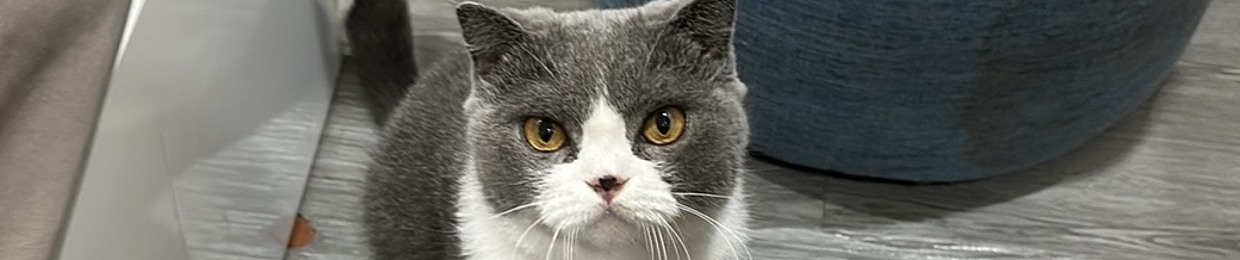 Hoàng Quốc Đạt