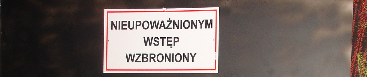 Wiktor Bielinski