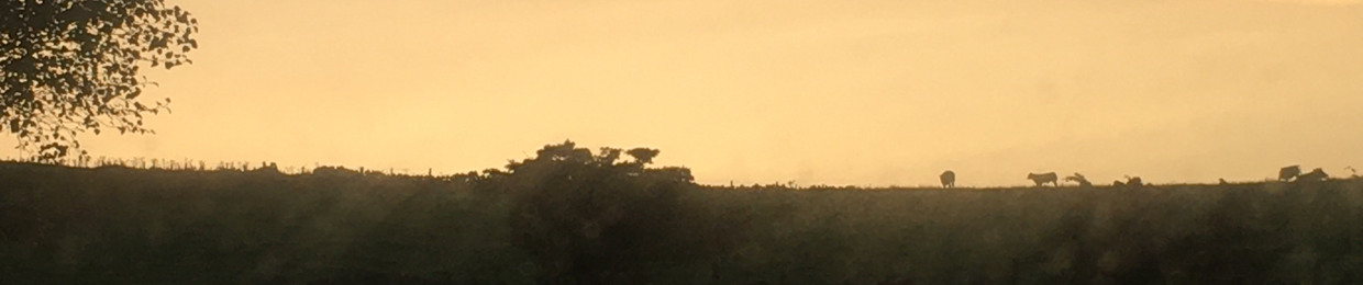 ketchup&mustard❤️💛🏳️‍🌈