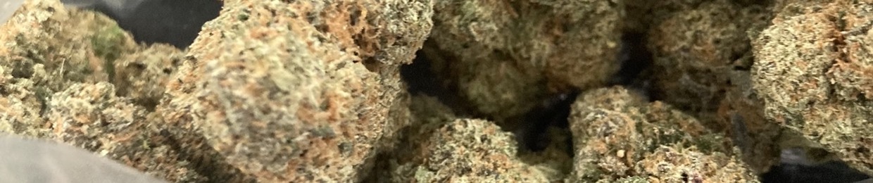 •𝓣𝓲𝓹𝓼𝔂•