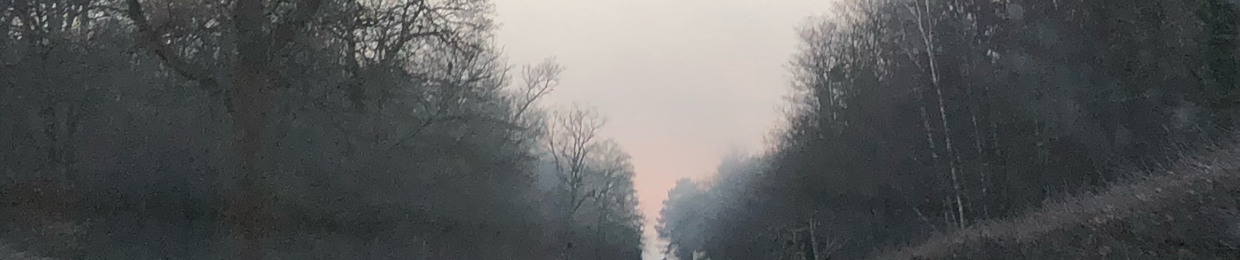 Alice Salomé Dhhuitte