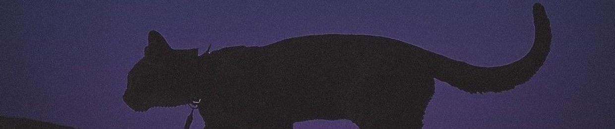 ꜱʜᴀᴡɴᴀʟᴇᴇᴍᴀʀɪᴇ