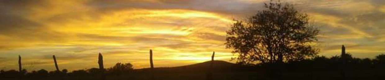 Valter Bitencourt Júnior