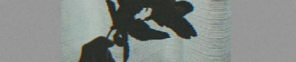 Muhammad Umair Ali