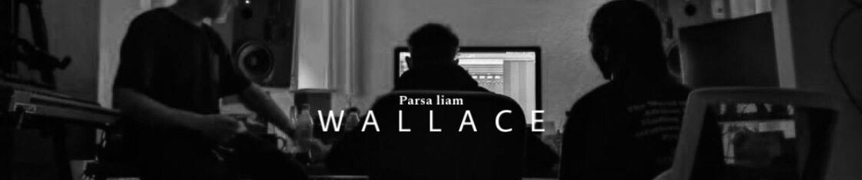 parsa liam