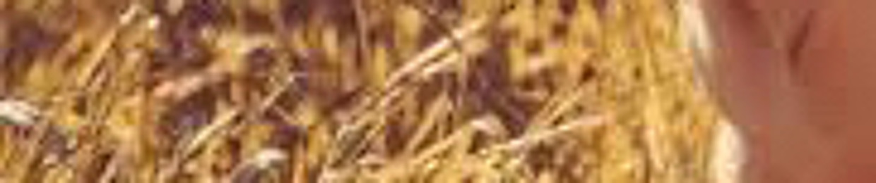 Mikrofonkonflikt