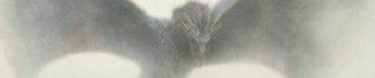 أحمد المنجي