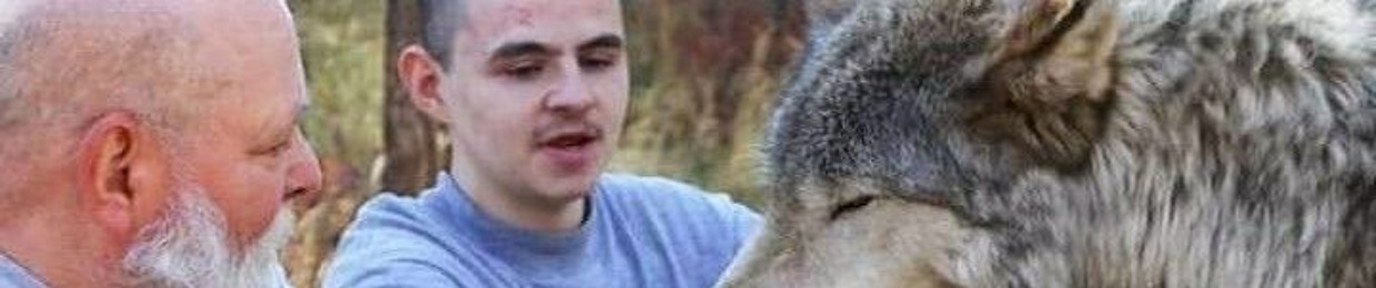 Wolf_Fanatic2482