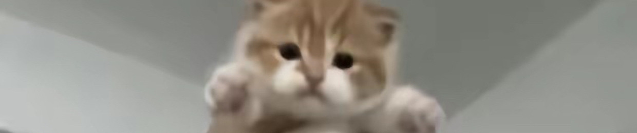 audeeznuts