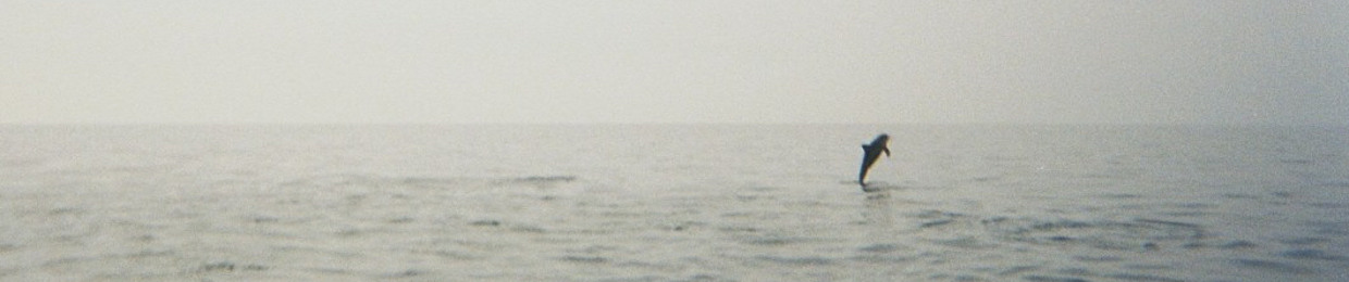 mani afzali