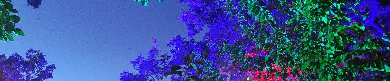 Blue Atmosphere aka SkyTrancer