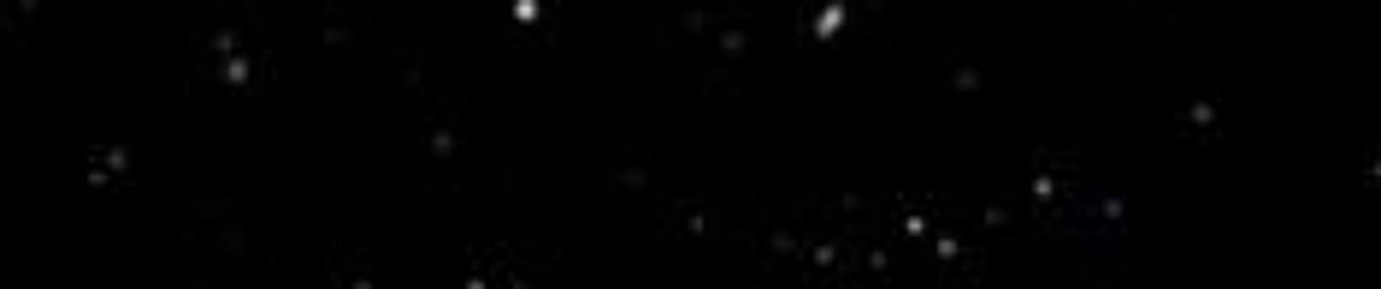 𝑬𝒍𝒐𝒏 --- 𝑪𝒂𝒕𝒈𝒉𝒐𝒔𝒕