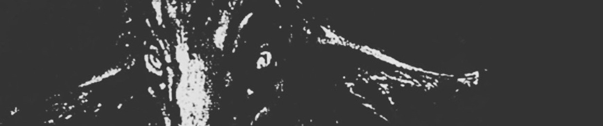 NXFACE//