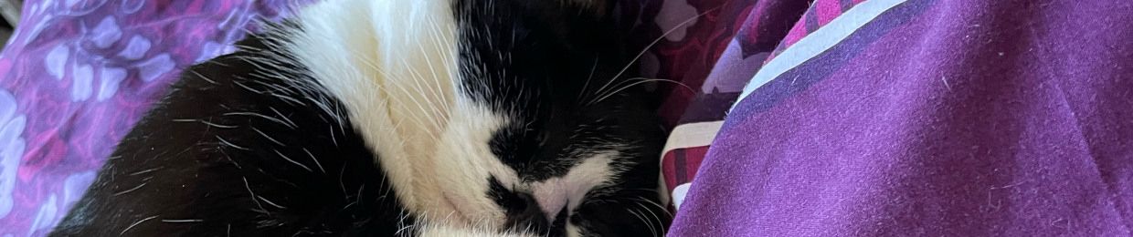 meowcat