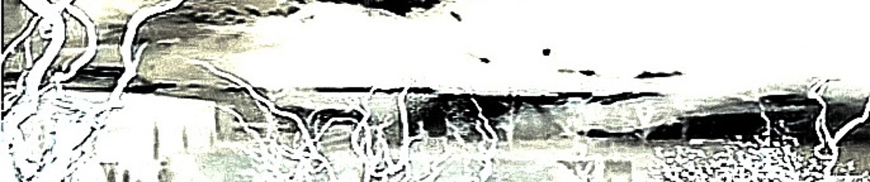 prod.bxllseye