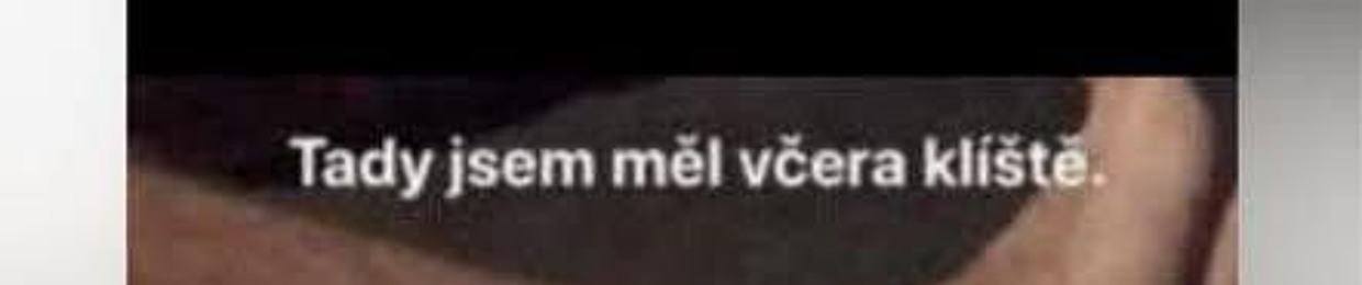 шейдич