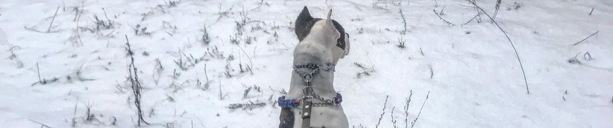 Влад Гаврилюк