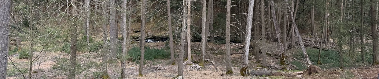 A.S.