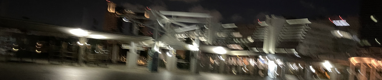 ₮