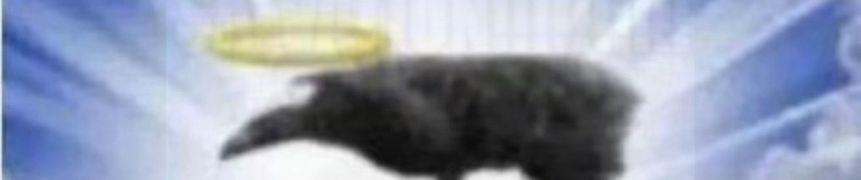 RexxiFox