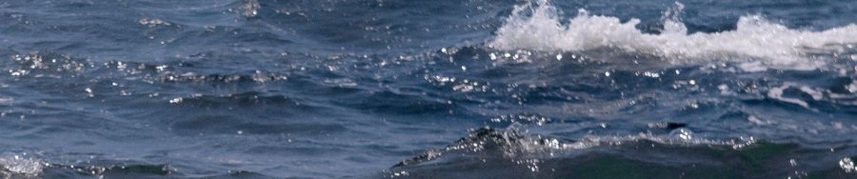海
