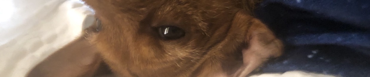 :3