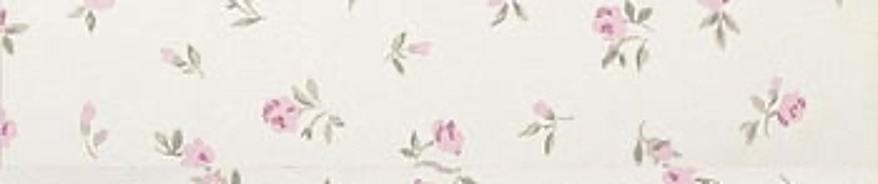 ems