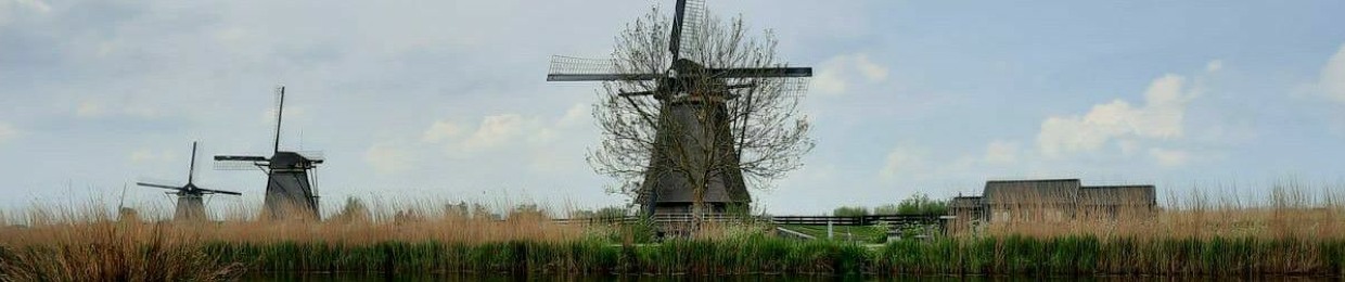 Fellowsheep in Delft