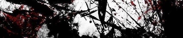 SoundCloud banner for @bestiality