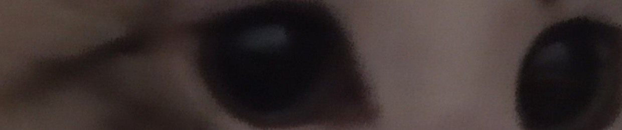 Даниил Даня