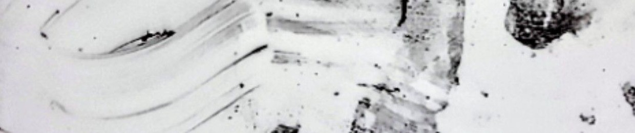 C333N