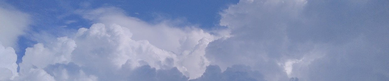 vulture