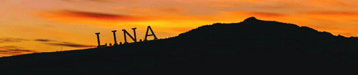 L.I.N.A