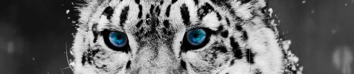 Influencer DJ - Devin Nourse