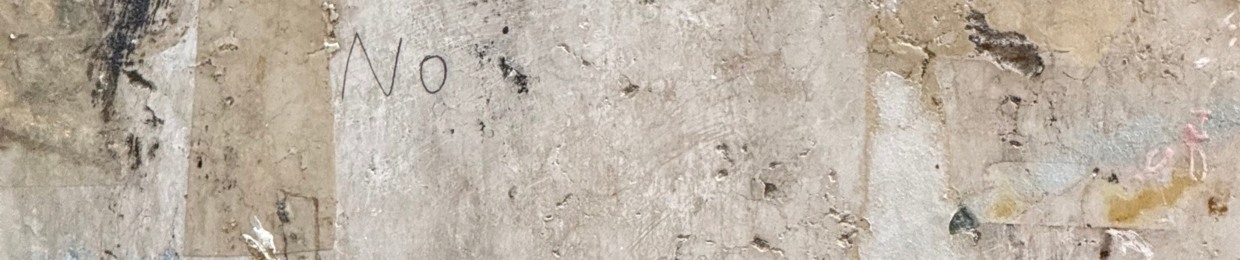 RAVI RAISA | RVRSRVR