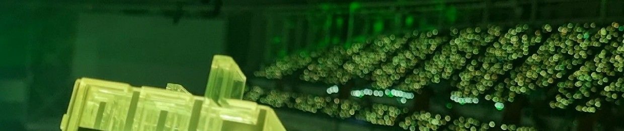 런쥔아💚✨️