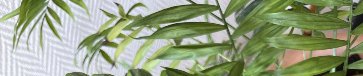 Nixxon (Nikolaj Birgens)