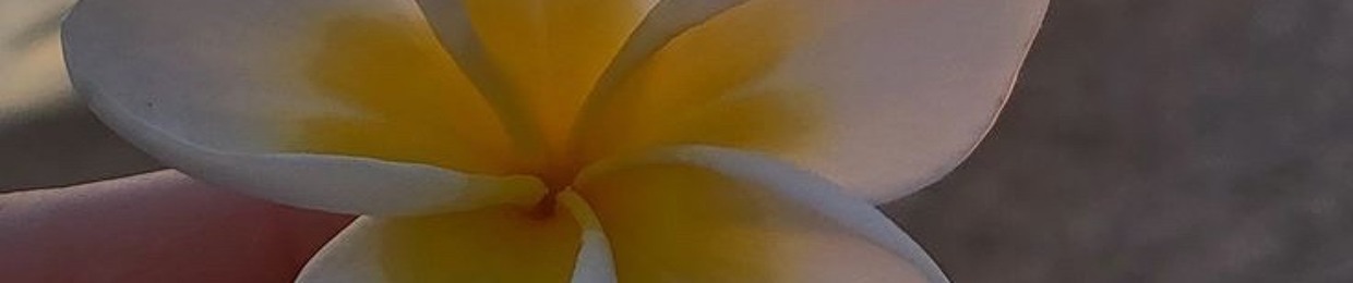 Raysileen Haimin Kusto